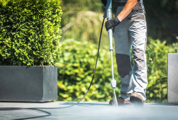 Best Roof Washing  in Minneola, FL